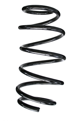 SPIDAN Fjeder 85624 foraksel for NISSAN