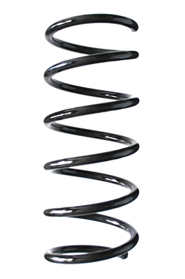 SPIDAN Fjeder 85569 bagaksel for FORD