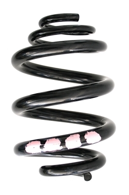 SPIDAN Fjeder 86853 bagaksel for VW