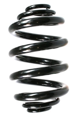 SPIDAN Fjeder 49763 bagaksel for VW