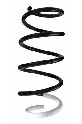 SPIDAN Fjeder 87223 foraksel for RENAULT
