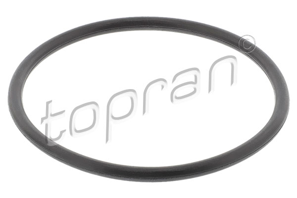 Pakning, termostat, TOPRAN, b.la. til BMW~VW~Opel~Vauxhall~Porsche