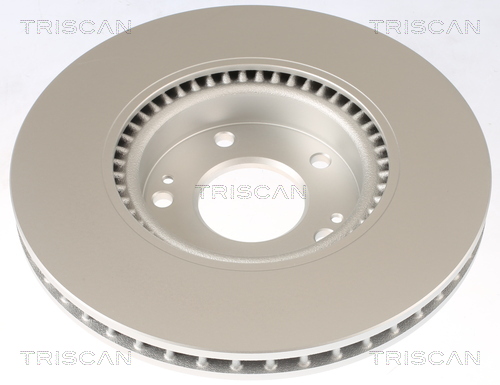 TRISCAN 812043183c ventileret 300mm 28mm