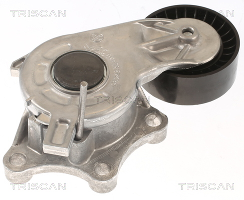 TRISCAN Remstrammer, kilerem 8641103056 for DS PEUGEOT