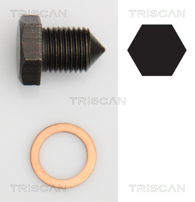 TRISCAN Skrueprop, bundkar 9500 2907 for AUDI VAG