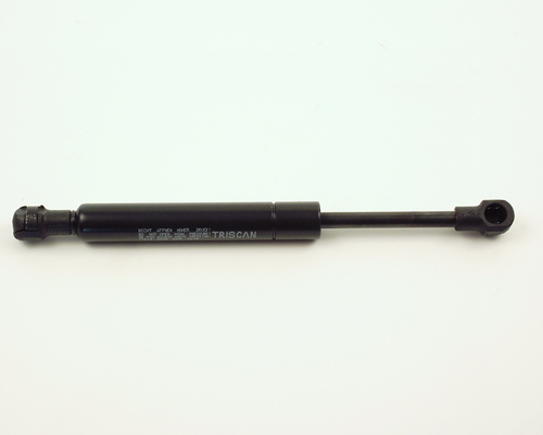 TRISCAN Gasfjeder, kuffert-/lastrum 871011219 for BMW
