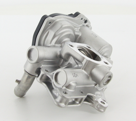 TRISCAN EGR-ventil 881325200 for RENAULT