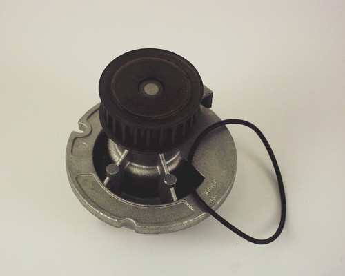 TRISCAN Vandpumpe 8600 24010 for VAUXHALL