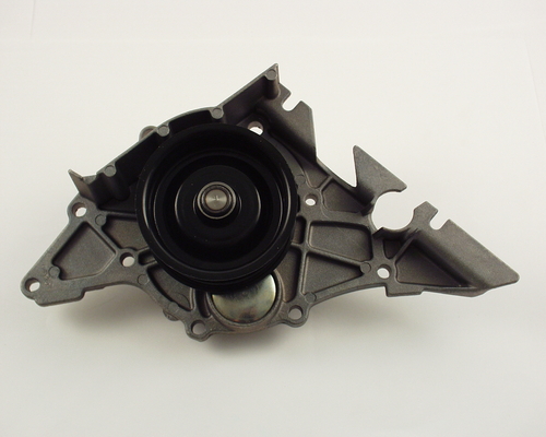 TRISCAN Vandpumpe 8600 29029 for AUDI
