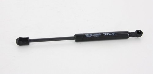 TRISCAN Gasfjeder, motorhjelm 871025104 for RENAULT