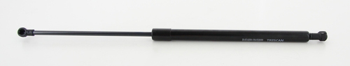 TRISCAN Gasfjeder, kuffert-/lastrum 871025266 for RENAULT
