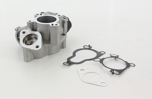 TRISCAN EGR-ventil 881314025 for NISSAN