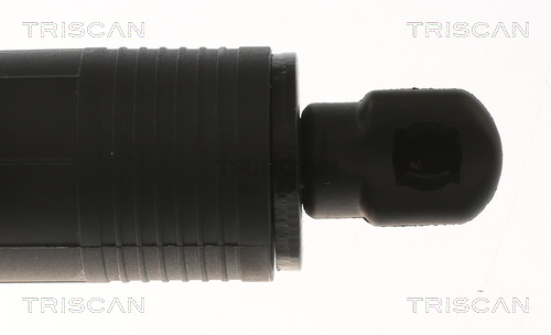 TRISCAN Gasfjeder, kuffert-/lastrum 8710 29302 for AUDI