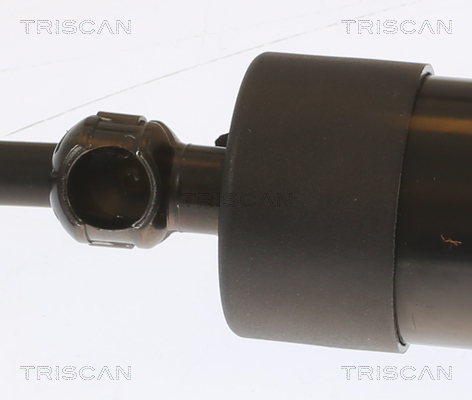 TRISCAN Gasfjeder, kuffert-/lastrum 871029303 for VW