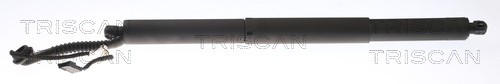 TRISCAN Gasfjeder, kuffert-/lastrum 871011307 for BMW