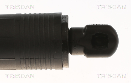 TRISCAN Gasfjeder, kuffert-/lastrum 871011308 for BMW