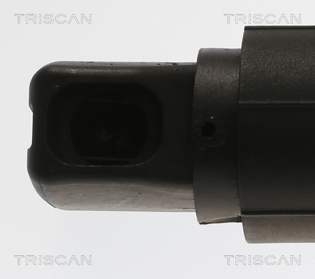 TRISCAN Gasfjeder, kuffert-/lastrum 871011313 for BMW