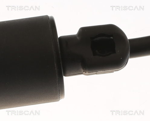TRISCAN Gasfjeder, kuffert-/lastrum 871020304 for PORSCHE