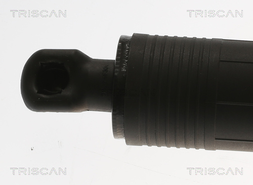 TRISCAN Gasfjeder, kuffert-/lastrum 8710 20304 for PORSCHE