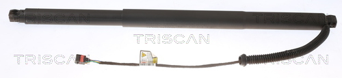 TRISCAN Gasfjeder, kuffert-/lastrum 871029304 for VW