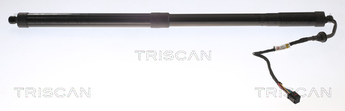 TRISCAN Gasfjeder, kuffert-/lastrum 871016301 for FORD