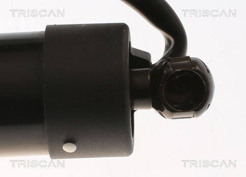 TRISCAN Gasfjeder, kuffert-/lastrum 871016302 for FORD