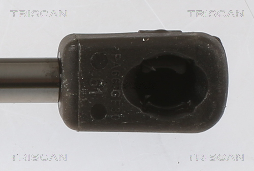 TRISCAN Gasfjeder, motorhjelm 871027111 for VOLVO