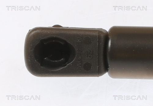 TRISCAN Gasfjeder, motorhjelm 871029155 for SKODA
