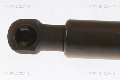 TRISCAN Gasfjeder, motorhjelm 871029157 for VW
