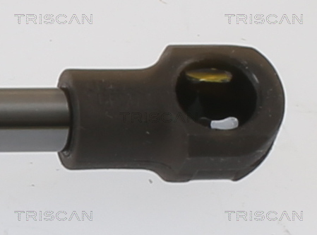 TRISCAN Gasfjeder, kuffert-/lastrum 8710112017 for BMW