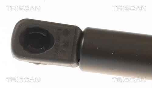 TRISCAN Gasfjeder, kuffert-/lastrum 8710112019 for MINI