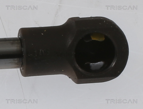 TRISCAN Gasfjeder, kuffert-/lastrum 871013296 for TOYOTA