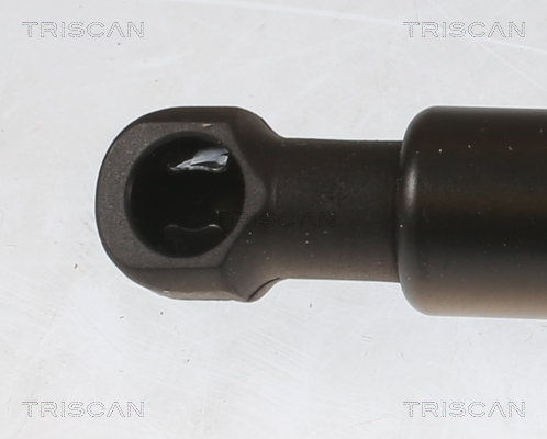 TRISCAN Gasfjeder, kuffert-/lastrum 8710 13296 for TOYOTA