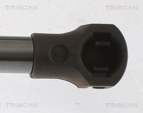 TRISCAN Gasfjeder, kuffert-/lastrum 871025279 for RENAULT