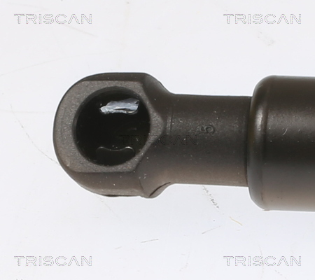 TRISCAN Gasfjeder, kuffert-/lastrum 871025280 for RENAULT