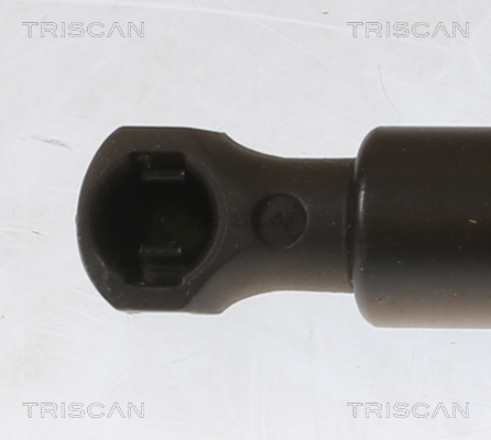TRISCAN Gasfjeder, kuffert-/lastrum 871025281 for RENAULT