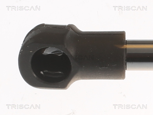 TRISCAN Gasfjeder, kuffert-/lastrum 8710 25283 for RENAULT