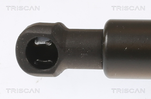 TRISCAN Gasfjeder, kuffert-/lastrum 871028251 for CITROËN