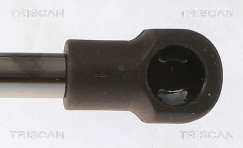 TRISCAN Gasfjeder, kuffert-/lastrum 8710 28251 for CITROËN