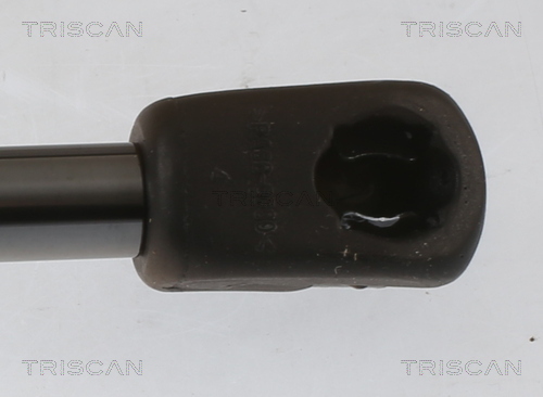 TRISCAN Gasfjeder, kuffert-/lastrum 871040246 for HONDA