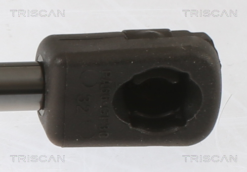 TRISCAN Gasfjeder, kuffert-/lastrum 871043248 for HYUNDAI