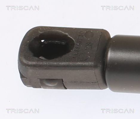 TRISCAN Gasfjeder, kuffert-/lastrum 8710 43249 for HYUNDAI