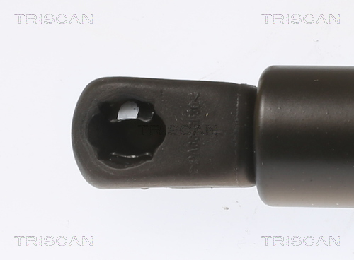 TRISCAN Gasfjeder, kuffert-/lastrum 871040245 for HONDA