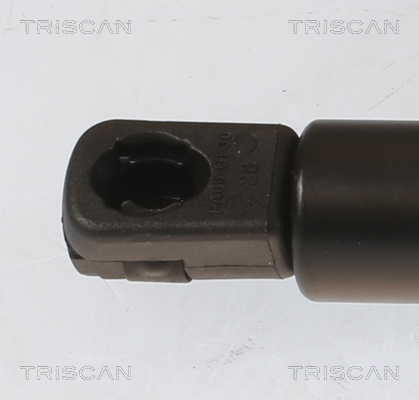 TRISCAN Gasfjeder, kuffert-/lastrum 871043251 for HYUNDAI