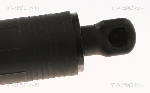 TRISCAN Gasfjeder, kuffert-/lastrum 8710 11361 for BMW