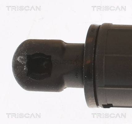 TRISCAN Gasfjeder, kuffert-/lastrum 8710 11359 for BMW