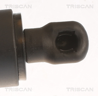 TRISCAN Gasfjeder, kuffert-/lastrum 871011359 for BMW