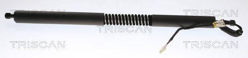 TRISCAN Gasfjeder, kuffert-/lastrum 871011355 for BMW