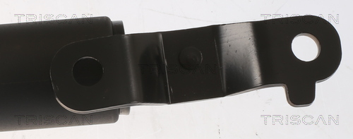 TRISCAN Gasfjeder, kuffert-/lastrum 871023307 for MERCEDES-BENZ