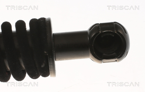 TRISCAN Gasfjeder, kuffert-/lastrum 871011353 for BMW